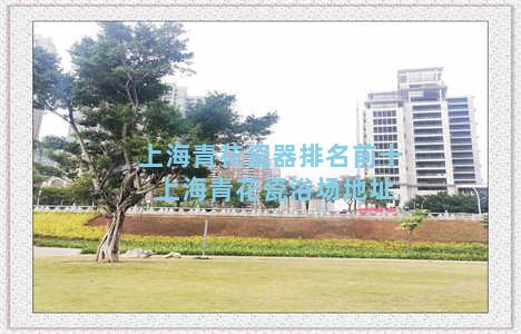 上海青花瓷器排名前十 上海青花瓷浴场地址